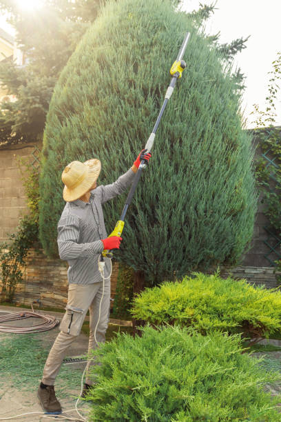 Lawn Watering Services in Woodside, PA